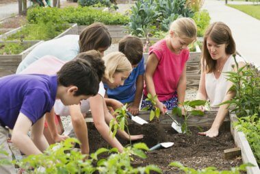 Why volunteering is good for you