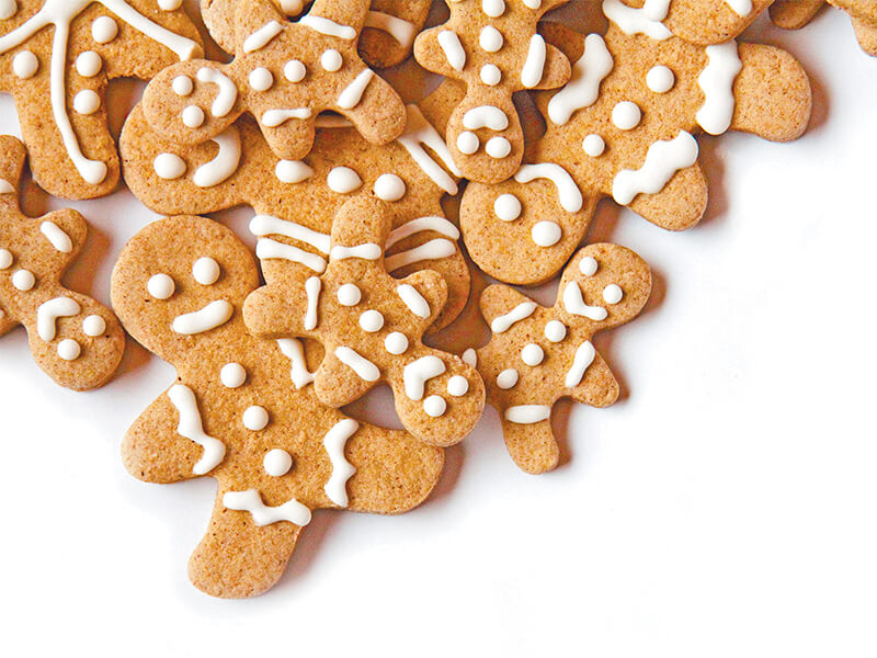healthy gingerbread biscuits