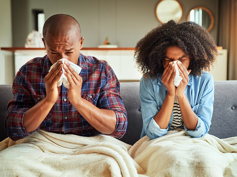 herbs for colds and flu