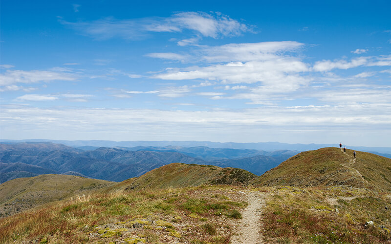 mount feathertop