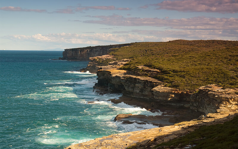 royal national park