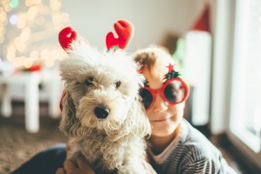 christmas and pets