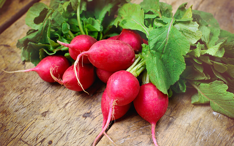 radish