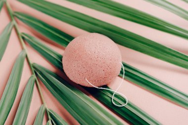 konjac sponge