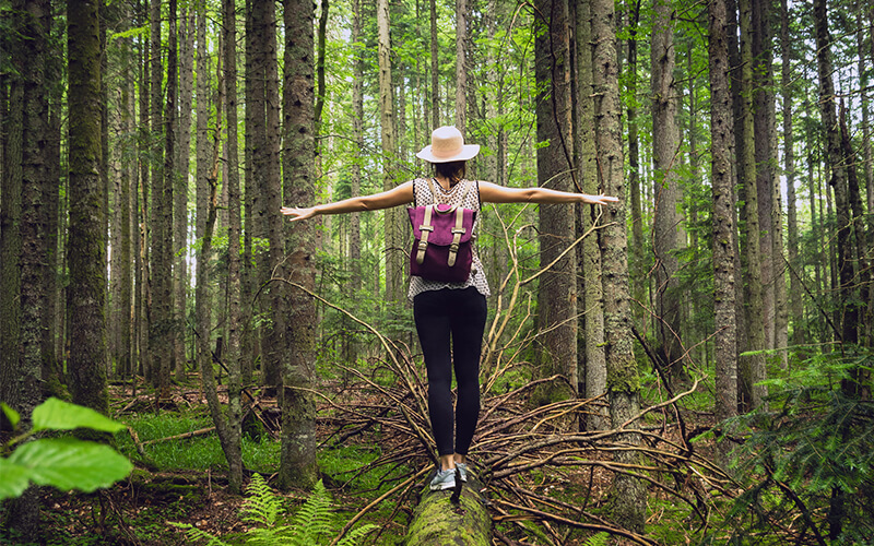 forest bathing