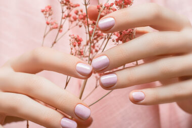 SNSversusShellac-update