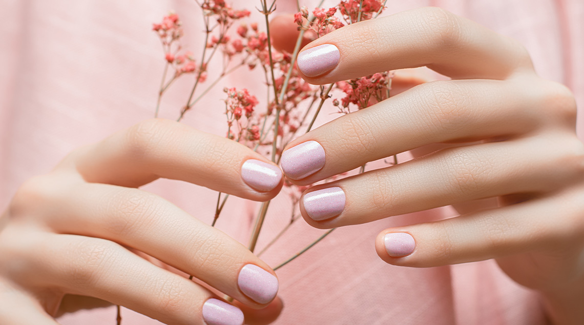 SNSversusShellac-update
