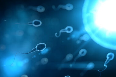 male fertility