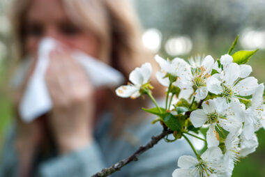 Jacqui-hayfever-column