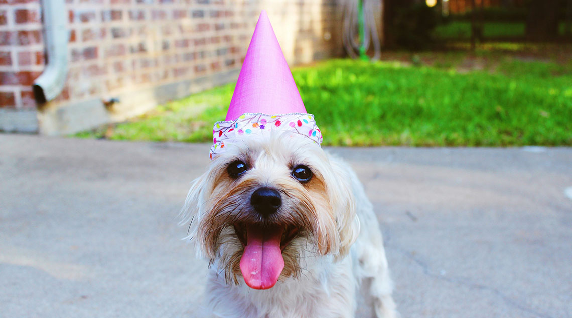 pet-horoscopes
